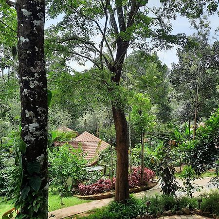 Ambalavayal Willow Resorts מראה חיצוני תמונה